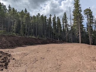 3331 Purnell Ln, Fort Garland, CO 81133