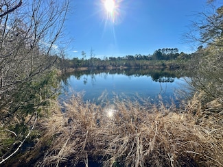 0 Bluff Springs Rd, Gloster, MS 39638
