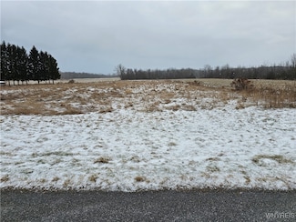 0 Steiner Rd Unit B1583421, Newstead, NY 14001