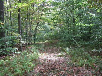 0 Hollister Rd, Freeville, NY 13068