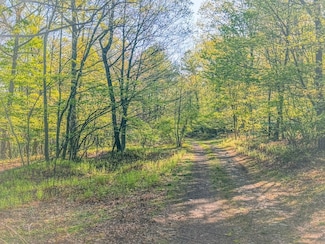 0 Cornman Ln Unit LotWP001 23863063, Landisburg, PA 17040