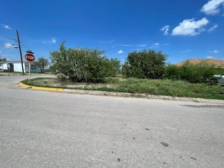 3797 Jazmin Dr, Elm Creek, TX 78852