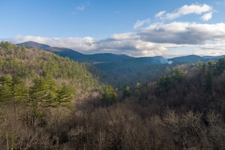none A-11 Twin Lakes Dr, Cashiers, NC 28717