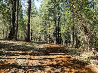 12060 Redwood Hwy, Wilderville, OR 97543