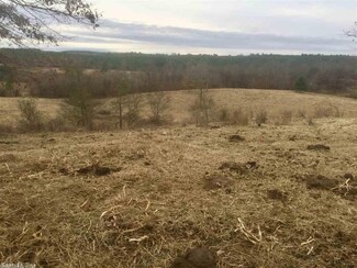0 Cc Road 1200 Unit 17035708, New Hope, AR 71959
