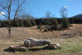 Eggleston Rd, Eggleston, VA 24086
