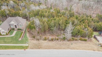 12406 Oakland Hills Trail Unit Lot 87, Louisville, KY 40291