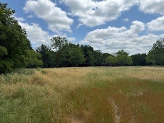 TBD 2.7 Acres Gathings Ave, Covington, TX 76636