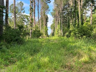 00 Us Highway 98, Summit, MS 39666