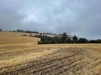 2439 Albers Rd, Nezperce, ID 83543