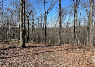 0 Deer Path Rd Unit 22684575, Augusta, WV 26704