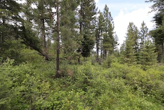 NHN Tract 1B W Fork Combest Creek Rd, Plains, MT 59859