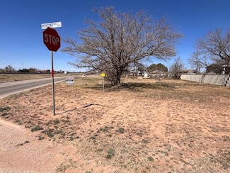 2111 Moncrief Ave, Snyder, TX 79549