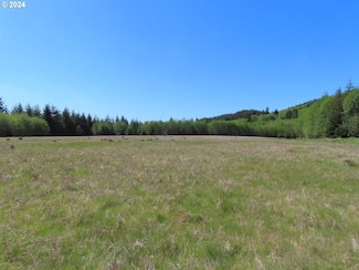0 Wynochee-Wishkah Rd Unit 24490931, Montesano, WA 98563