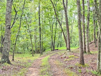 00 Johns Creek Rd, New Castle, VA 24127