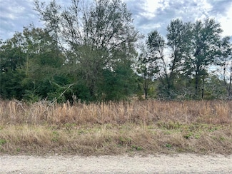 Lot 151 SW 103rd St, Dunnellon, FL 34432
