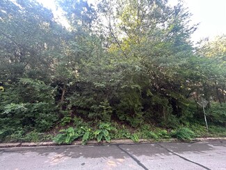 1505 Creekford Dr, Arlington, TX 76012