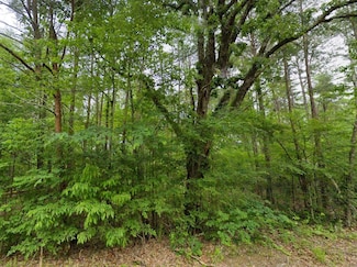 0 Hwy 17 Unit 522791, Florence, AL 35633