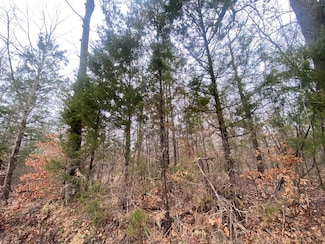 Tbd Maple Springs Rd, Hallsville, TX 75650