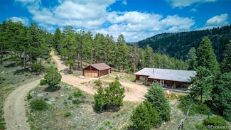 33411 Lake Ln, Pine, CO 80470