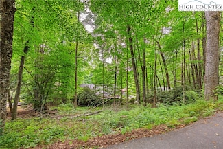 140 Pine View Rd, Newland, NC 28657