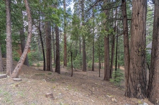 3099 Apache, Arnold, CA 95223