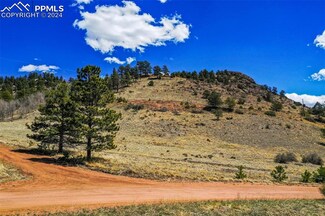 897 & 961 Highland Meadows Dr, Florissant, CO 80816