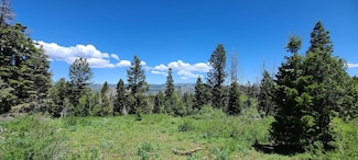 22596 E Snowbird Dr, Spanish Fork, UT 84660