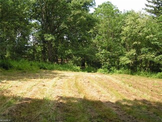 14125 E Liverpool Rd, Lisbon, OH 44432
