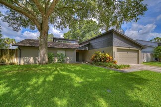 15304 Lazy Lake Place, Tampa, FL 33624