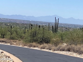 5236 N Mesquite Canyon Place Unit 14, Tucson, AZ 85749