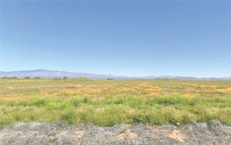 9800 Avenue C-8, Antelope Acres, CA 93536