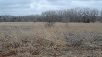 SW SW Rattlesnake Trail, Hardtner, KS 67057