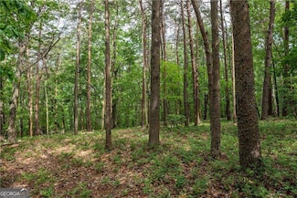 206R Mystic Trail Ln, Jasper, GA 30143