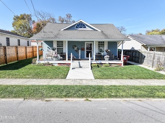 202 W 8th Ave, Johnson City, TN 37604