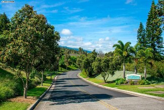 36 Kaalele Place, Kula, HI 96790