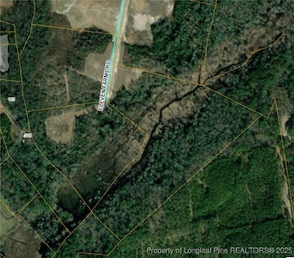 Lot 47 Eleven Farms Rd, Salemburg, NC 28385