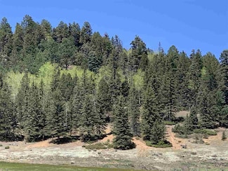 0 Valle Escondido Rd Unit 105091, Taos, NM 87571