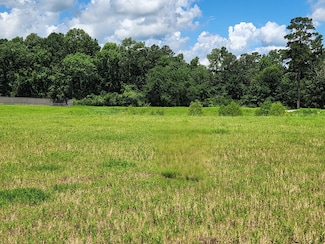 12855 Bentwood Farms Trace, Montgomery, TX 77356