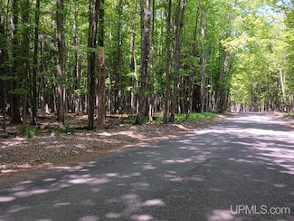 48 Acres Cr Kk (Huron Mountain Club Rd) Rd, Big Bay, MI 49808