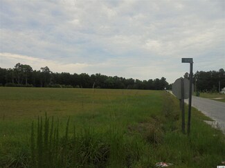TBD Dew Rd, Marion, SC 29571