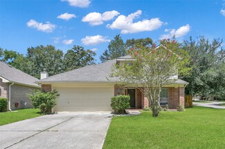 2 Olde Rose Ct, Spring, TX 77382