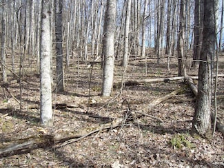 0 Patsy Rd, Sneedville, TN 37869