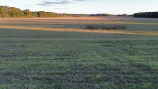 Tbd Binnicker Bridge Rd, Cope, SC 29038