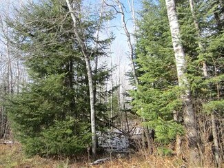 Off Omeara Rd, Mercer, WI 54547