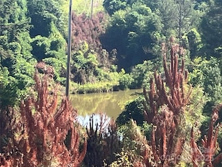 536-4 Pea Ridge Rd, Mill Spring, NC 28756