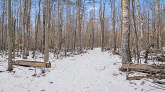0 W Miller Rd Unit 19483986, Shepherd, MI 48883