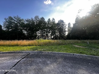 0 Creekside Dr Unit 1306100, Harriman, TN 37748