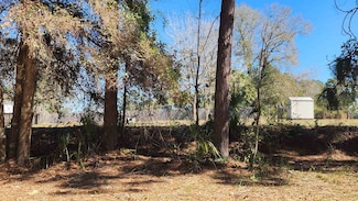 0 Edgehill Rd Unit 256335, Satsuma, FL 32189