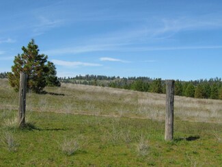 00 N Bruce Rd, Chattaroy, WA 99002